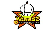 Pallacanestro Varese 篮球