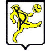 Burton Albion Futbol