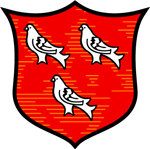 Dundalk FC Jalkapallo