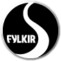 Fylkir Reykjavik 足球