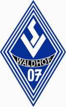 SV Waldhof Mannheim 足球