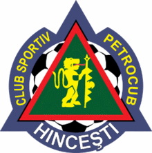 FC Petrocub Hincesti 足球