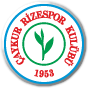 Çaykur Rizespor Football