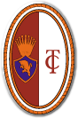 FC Torino 足球