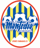 Montedio Yamagata 足球