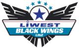 Black Wings Linz Ishockey