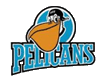 Pelicans Lahti Jégkorong
