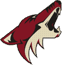 Arizona Coyotes Ishockey