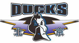Logo týmu