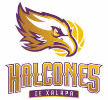 Halcones Xalapa Basketbol
