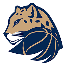 Logo týmu