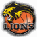 BK Lions J. Hradec Basquete