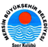 Logo týmu