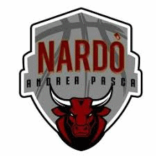 HDL Nard? Basket Basketball