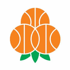 Umea BSKT Basquete