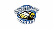 Logo týmu