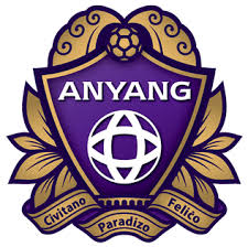 FC Anyang Football
