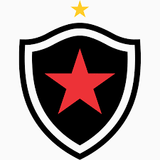 Botafogo FC Football