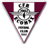 CFR 1907 Cluj Football