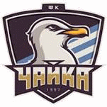 Logo týmu