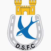 Dungannon Swifts 足球