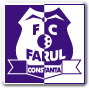 Farul Constanta Nogomet