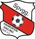 SpVgg Hankofen-Hailing 足球