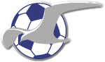 Logo týmu