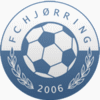 Vendsyssel FF Futebol