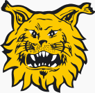 Ilves Tampere Football