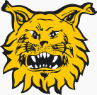 Ilves Tampere Fotball