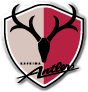 Kashima Antlers 足球