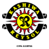 Kashiwa Reysol Football