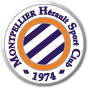 Logo týmu