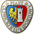 Piast Gliwice 足球