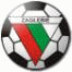 Zaglebie Sosnowiec Football