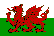 Wales Futbol