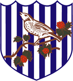 West Bromwich Albion Football