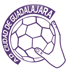 BM Guadalajara Handebol