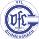Logo týmu