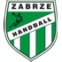 Logo týmu