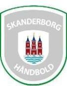 Skanderborg Rukomet