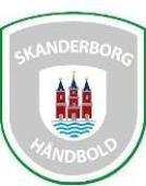 Skanderborg 手球