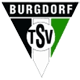 TSV Burgdorf Käsipallo