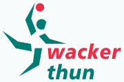 Logo týmu