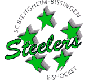 SC Bietigheim Steelers Ishockey
