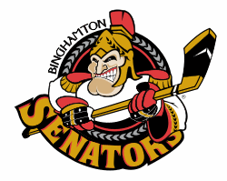 Binghamton Senators Buz hokeyi