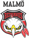 Logo týmu