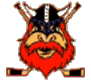Nybro Vikings IF Buz hokeyi