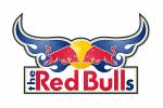 Logo týmu
